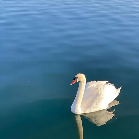 Daire La Casa Di Vale *