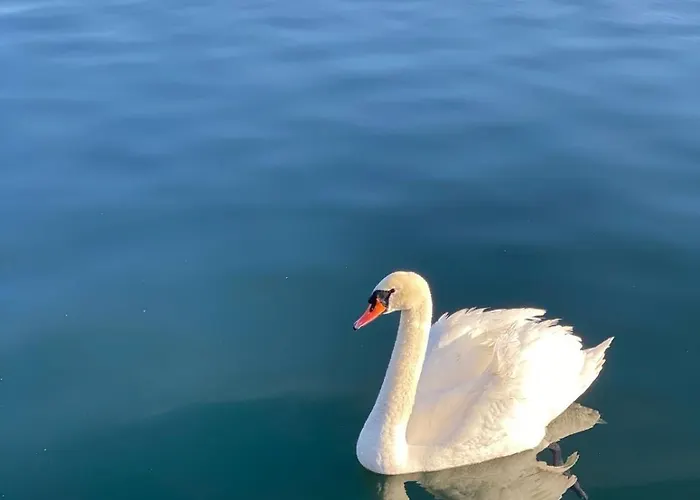 Daire La Casa Di Vale *